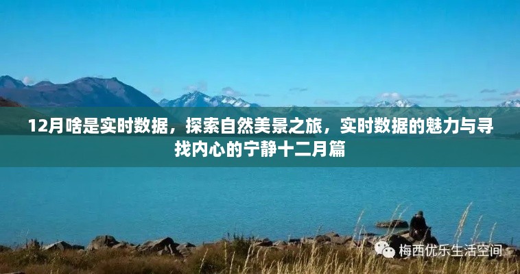 十二月实时数据之旅，探索自然美景的魅力与寻找内心宁静