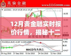 揭秘十二月贵金融实时报价行情深度解析与三大要点关注