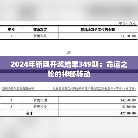 2024年新奥开奖结果349期：命运之轮的神秘转动