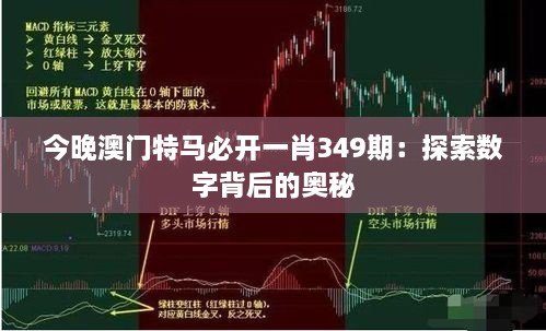 今晚澳门特马必开一肖349期：探索数字背后的奥秘