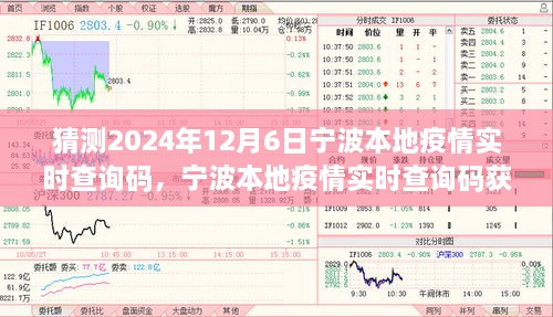 宁波本地疫情实时查询码猜测与获取指南，2024年宁波疫情查询码预测及获取方法