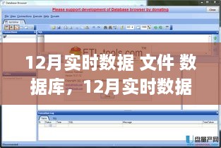 12月实时数据，文件与数据库的高效协同处理策略