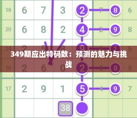 349期应出特码数：预测的魅力与挑战