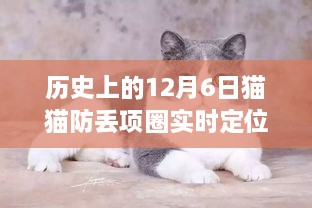 历史上的12月6日，猫猫防丢项圈实时定位技术革新日