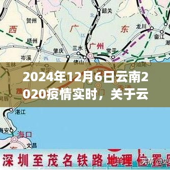 云南地区疫情实时追踪，初学者与进阶用户指南（截至2024年12月6日）