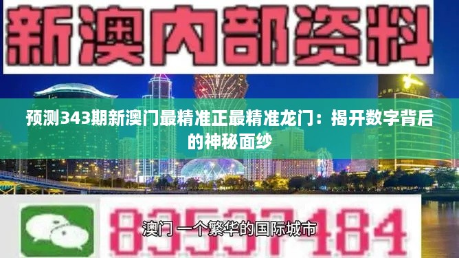 预测343期新澳门最精准正最精准龙门：揭开数字背后的神秘面纱