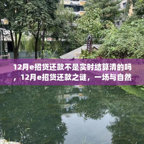 揭秘12月e招贷还款流程，与自然美景的约定，实时结算真相探寻