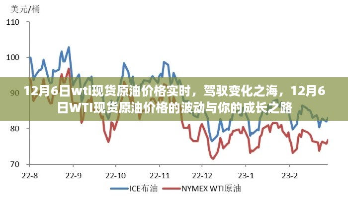 公司简介 第145页