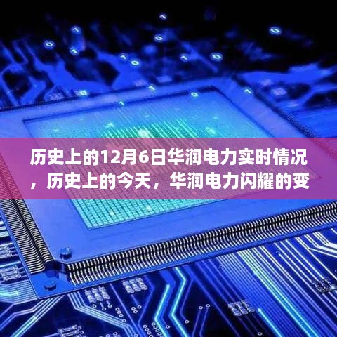 公司简介 第144页