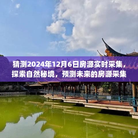 探索未来房源之旅，预测2024年房源实时采集，探寻自然秘境中的宁静角落