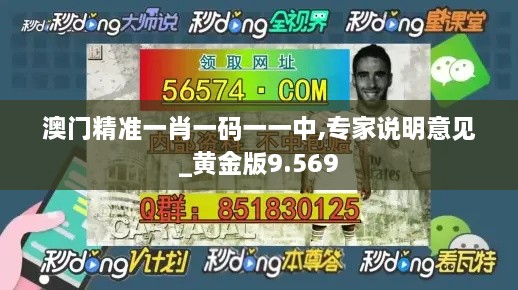 澳门精准一肖一码一一中,专家说明意见_黄金版9.569