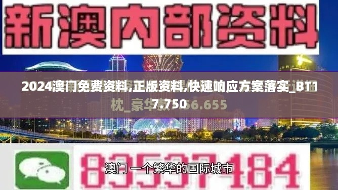 2024澳门免费资料,正版资料,快速响应方案落实_BT17.750