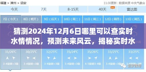 2024年12月17日 第23页