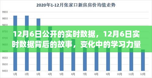 揭秘12月6日实时数据背后的故事，学习力量的变迁与自信的诞生