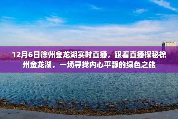 探寻心灵宁静的绿色之旅，徐州金龙湖直播探秘