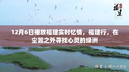 尘嚣之外的心灵绿洲，福建实时忆情与福建行之旅