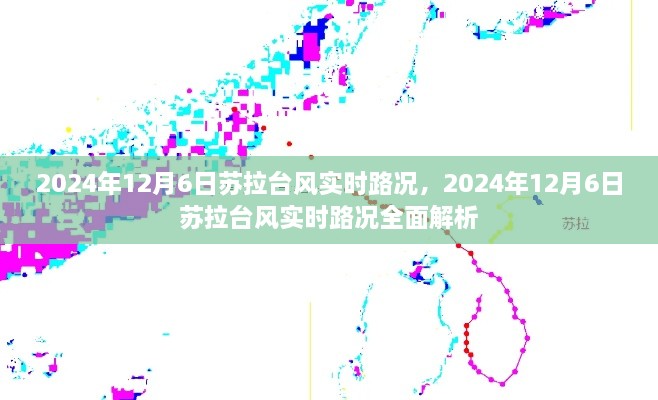 2024年12月6日苏拉台风实时路况全面解析，实时更新与深度解读