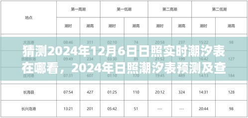 2024年12月17日 第16页