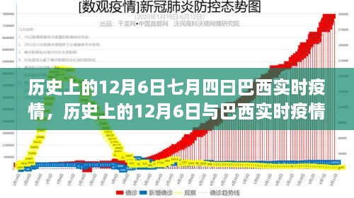 历史上的12月6日与巴西实时疫情，深度分析与观点阐述