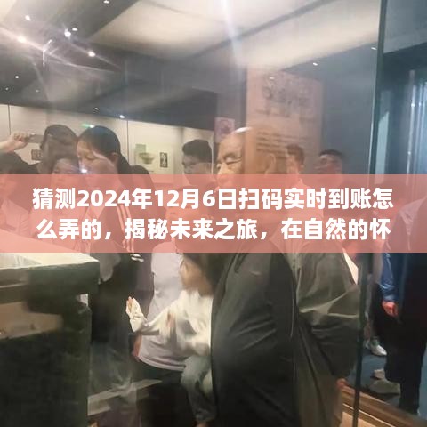 揭秘未来扫码实时到账技术，探索自然奥秘，启程心灵宁静之旅（2024年12月6日指南）