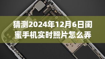 探秘手机摄影，与闺蜜共赴一场自然之美的摄影之旅（2024年12月6日）