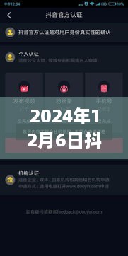 2024年抖音实时监控系统对主播违规行为的深度解析，12月6日案例研究