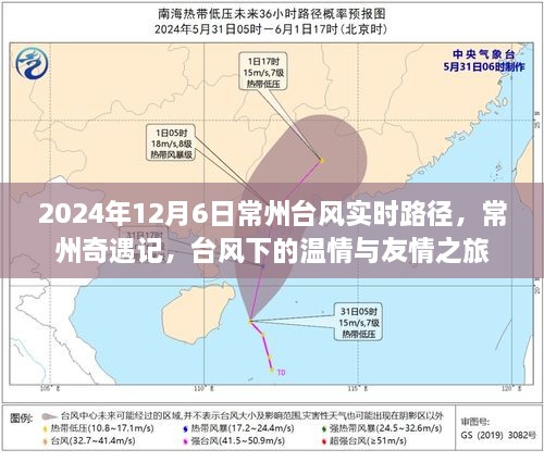 台风下的常州奇遇，温情与友情的旅程（实时更新）