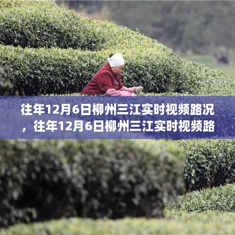 往年12月6日柳州三江实时视频路况深度解析，利弊之我见与观察报告