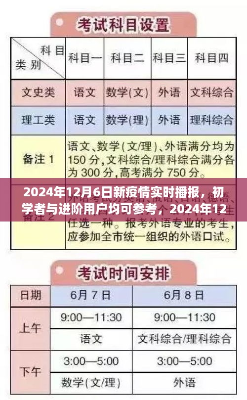 2024年12月6日新疫情实时播报全程指南，适合初学者与进阶用户