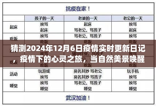 疫情下的心灵之旅，探索自然美景与内心的平静——2024年12月6日日记