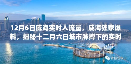 揭秘威海十二月六日城市脉搏，实时人流量独家爆料