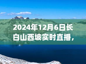 长白山西坡实时直播，如何观看与参与2024年12月6日直播活动指南