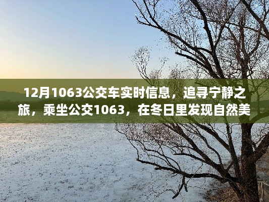 追寻宁静之旅，公交1063冬日自然美景与内心平静的旅程