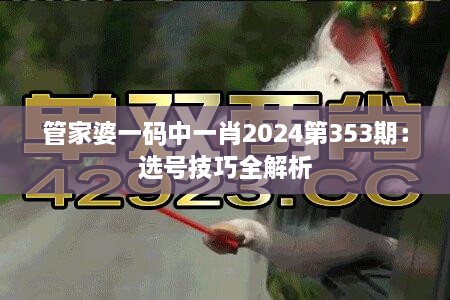 管家婆一码中一肖2024第353期：选号技巧全解析