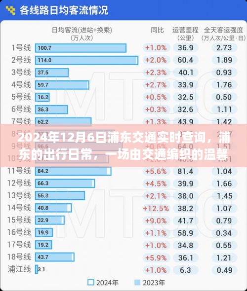 浦东交通实时查询，出行日常与温馨故事交织的浦东交通生活纪实（2024年12月6日）