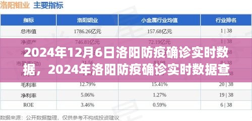 2024年洛阳防疫确诊实时数据指南，查询步骤与初学者进阶用户适用