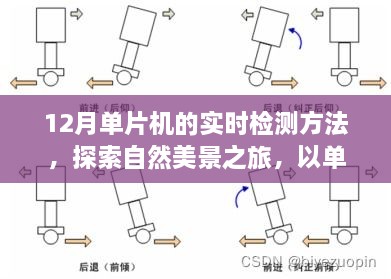 单片机实时检测引领自然美景探索之旅，心灵之旅启程之时