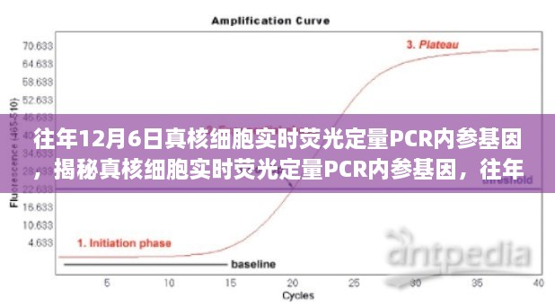 真核细胞实时荧光定量PCR