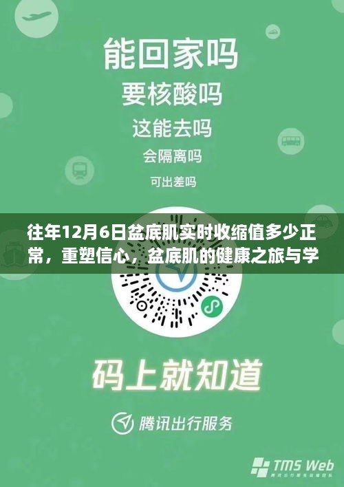 重塑信心，盆底肌健康之旅与学习力量——往年12月6日实时收缩值解读