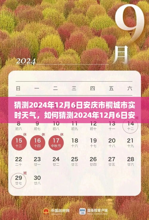 如何预测安庆市桐城市在2024年12月6日的实时天气，详细步骤与指南