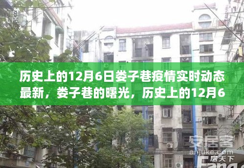 娄子巷疫情实时动态，历史上的12月6日曙光与励志故事更新