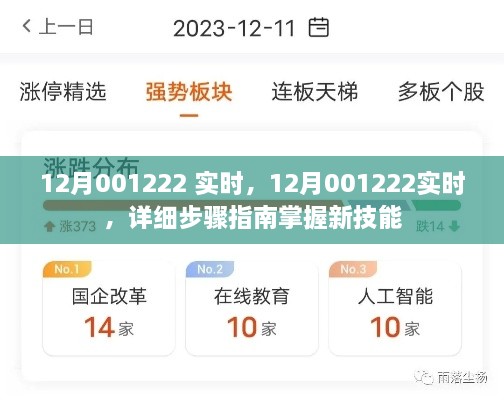 2024年12月19日 第2页