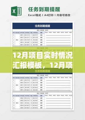 12月项目实时情况汇报模板详解与全面评测