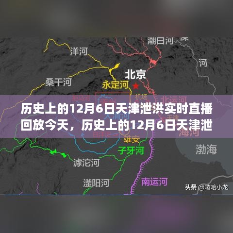 历史上的天津泄洪事件，直播回放与多方观点碰撞的探讨