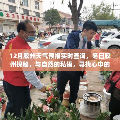 12月胶州天气预报及冬日探秘，寻找心中的温暖阳光与自然的私语