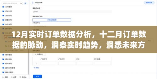 12月实时订单数据分析，洞悉未来趋势，把握市场脉动