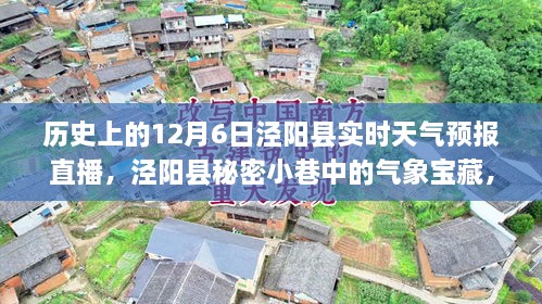 揭秘历史上的12月6日泾阳县天气预报直播，探寻秘密小巷中的气象宝藏