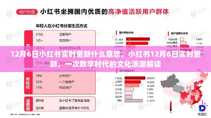 数字时代文化浪潮，小红书12月6日实时更新的深度解读