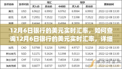 2024年12月22日 第8页