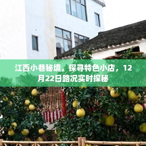 江西小巷秘境，探寻特色小店，实时路况探秘之旅（12月22日）